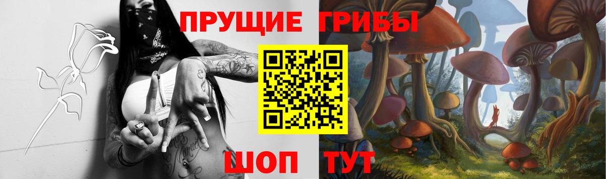 Нальчик  Псилоцибиновые грибы мицелий  Вход с VPN 